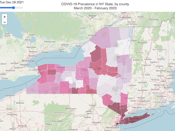 COVID-19 Prevalence in NY state